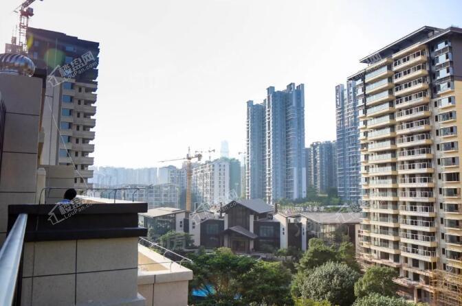 彰泰红实景图