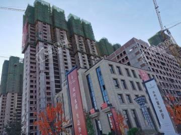 天禄·金典名城实景图