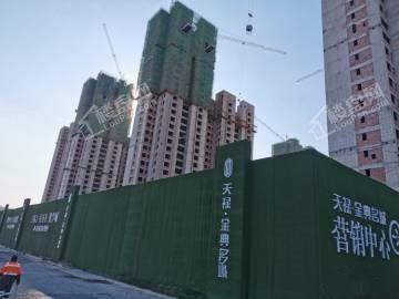 天禄·金典名城实景图