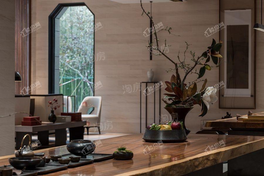 白桦林溪实景图