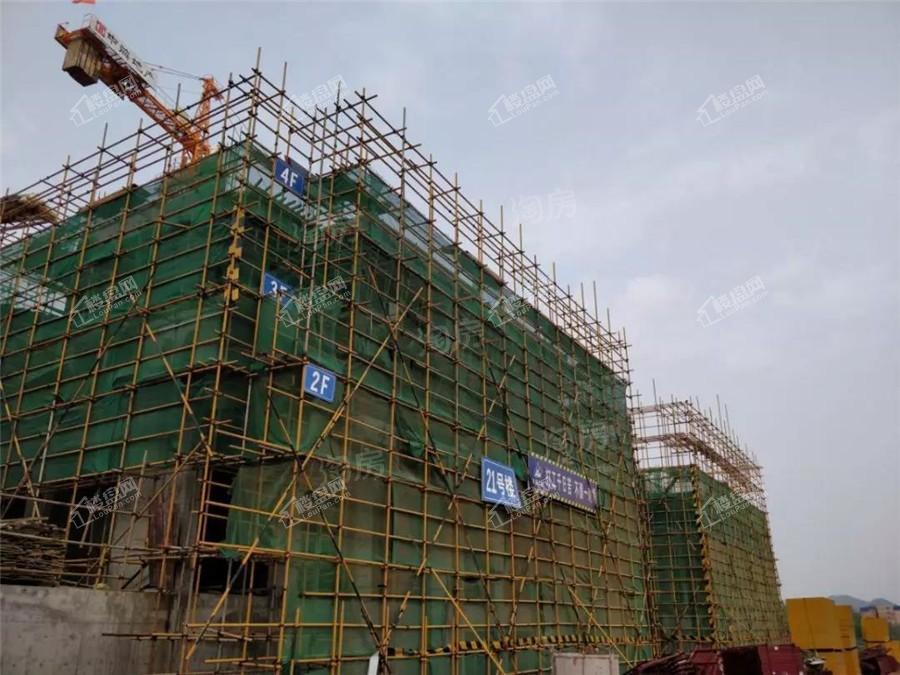 中海哈罗学府实景图