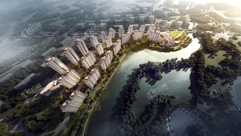 金科旅投·阳明湖效果图