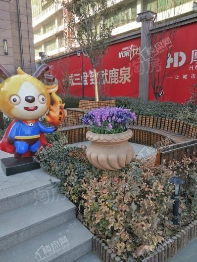 厚德锦街实景图