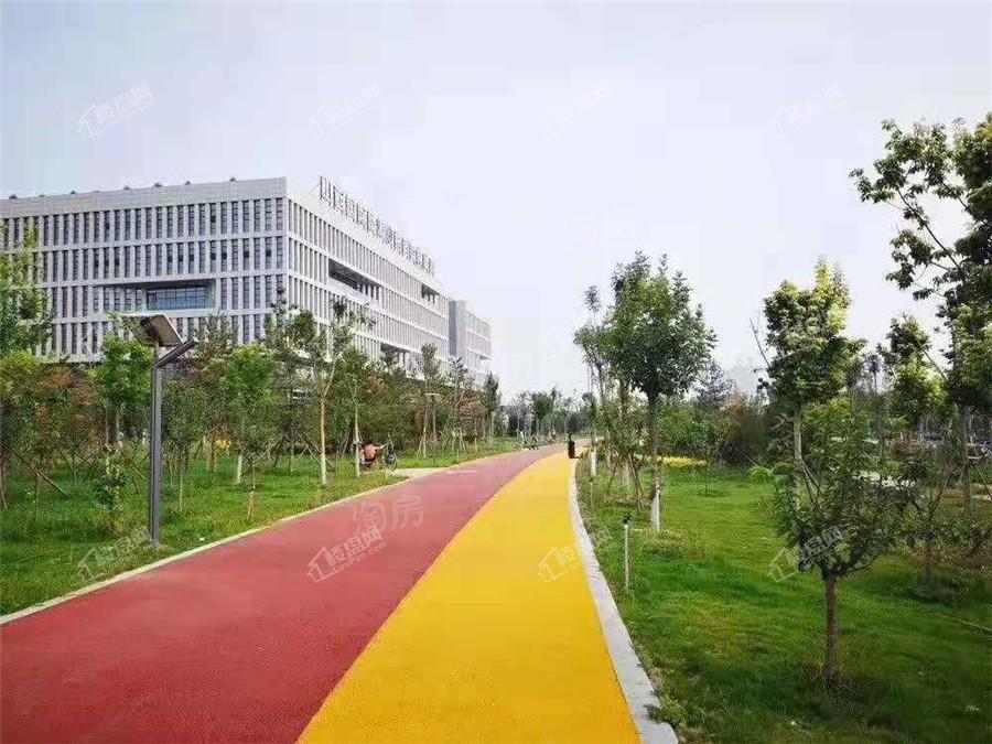 中泽纯境实景图