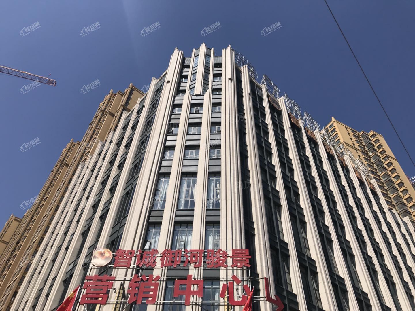 智诚·御河骏景D区实景图