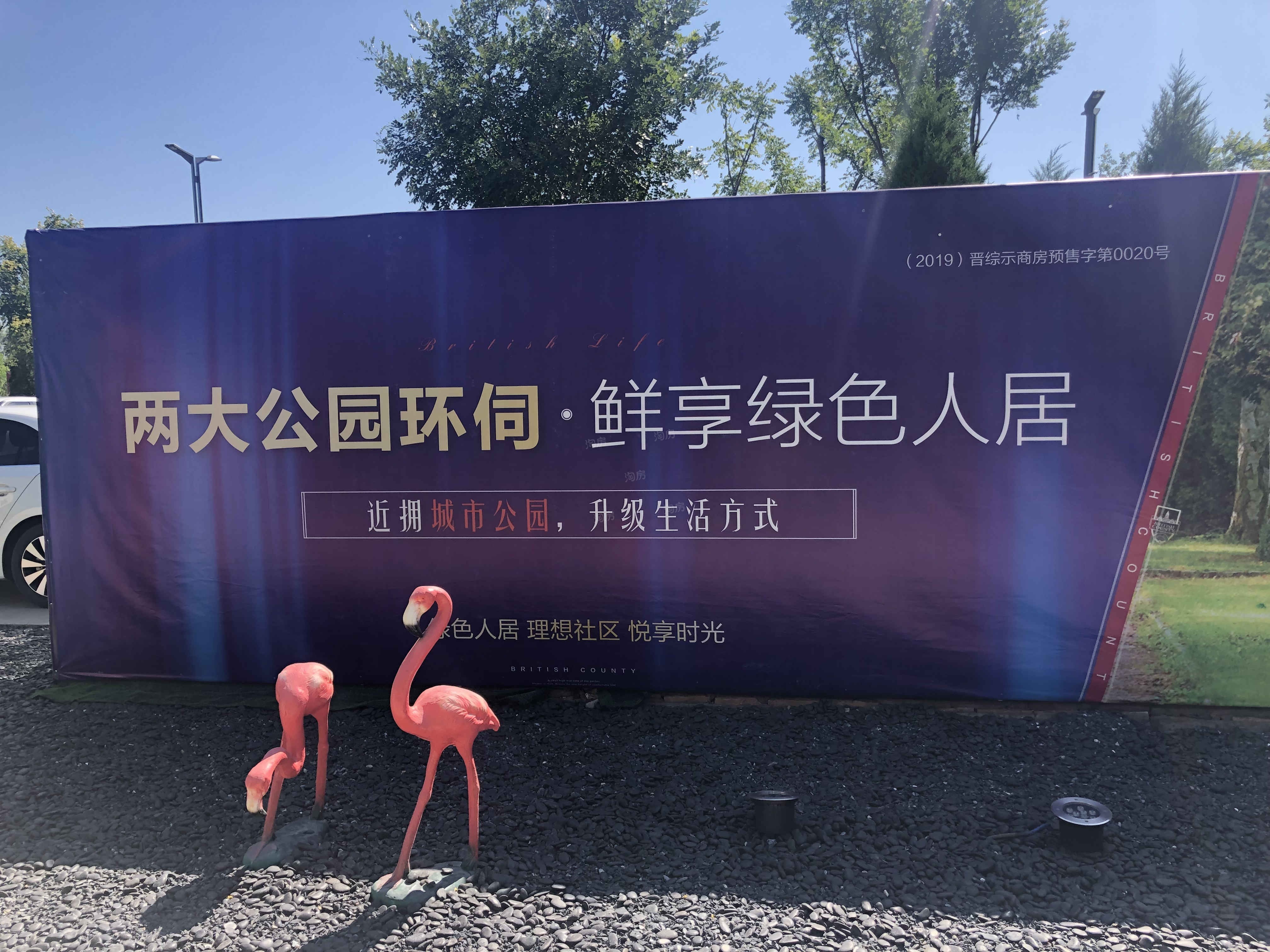 阳光领域实景图