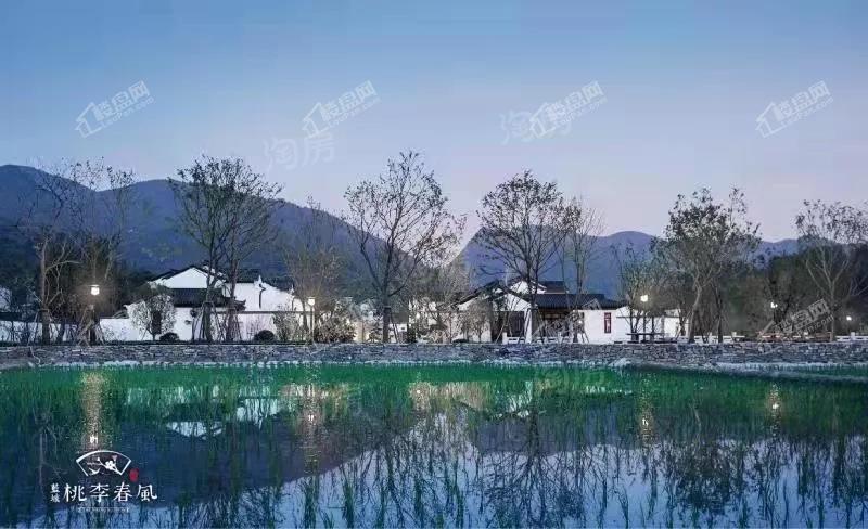 蓝城贵阳桃李春风实景图