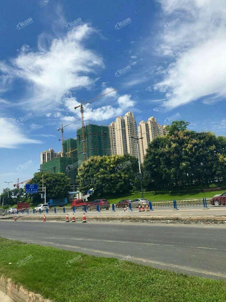实景图