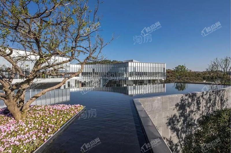 金科龙里东方效果图