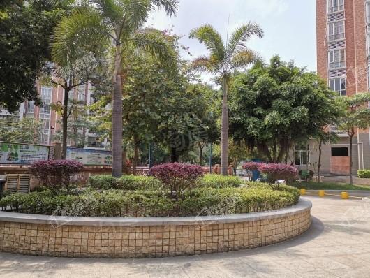 大岗雅苑·经典实景图