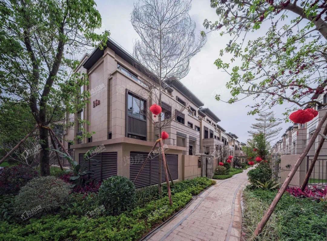 中海央墅实景图