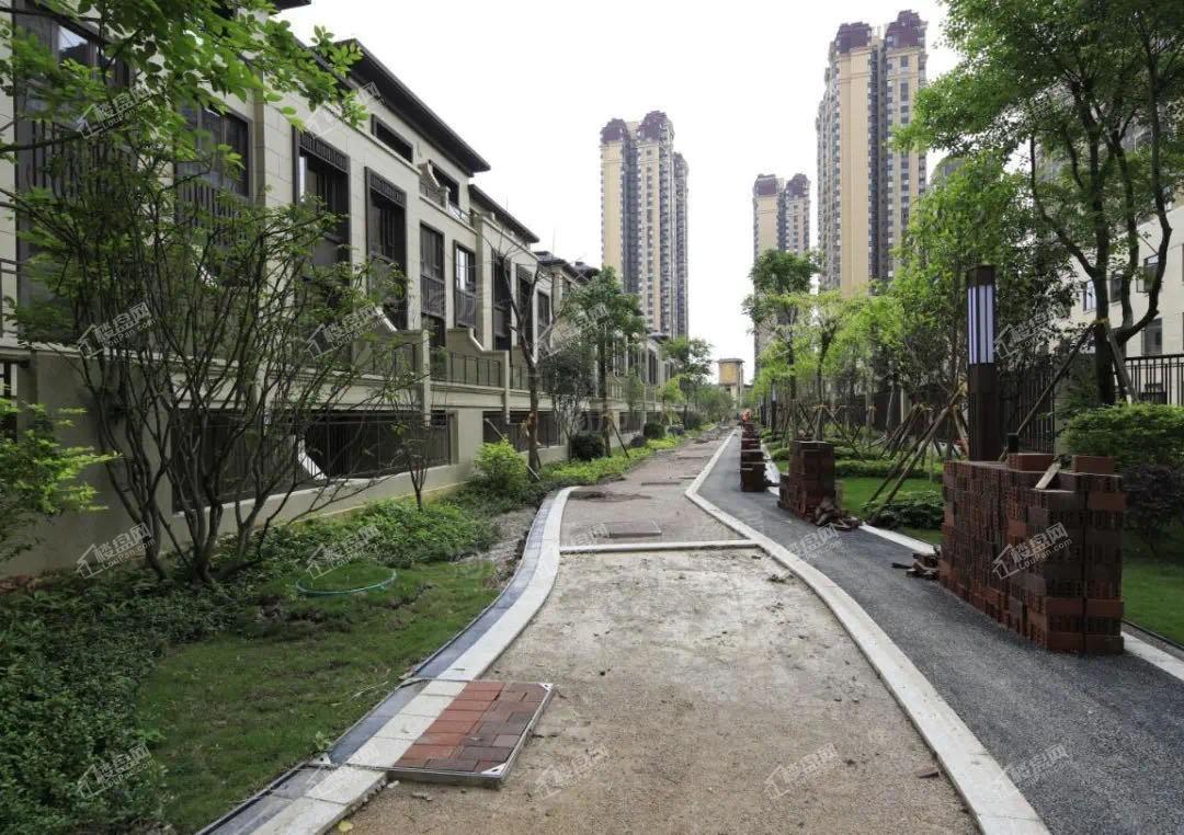 中海央墅实景图