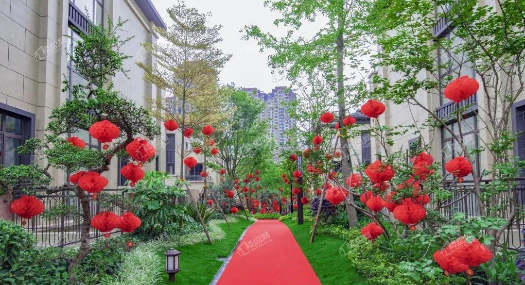 中海央墅实景图