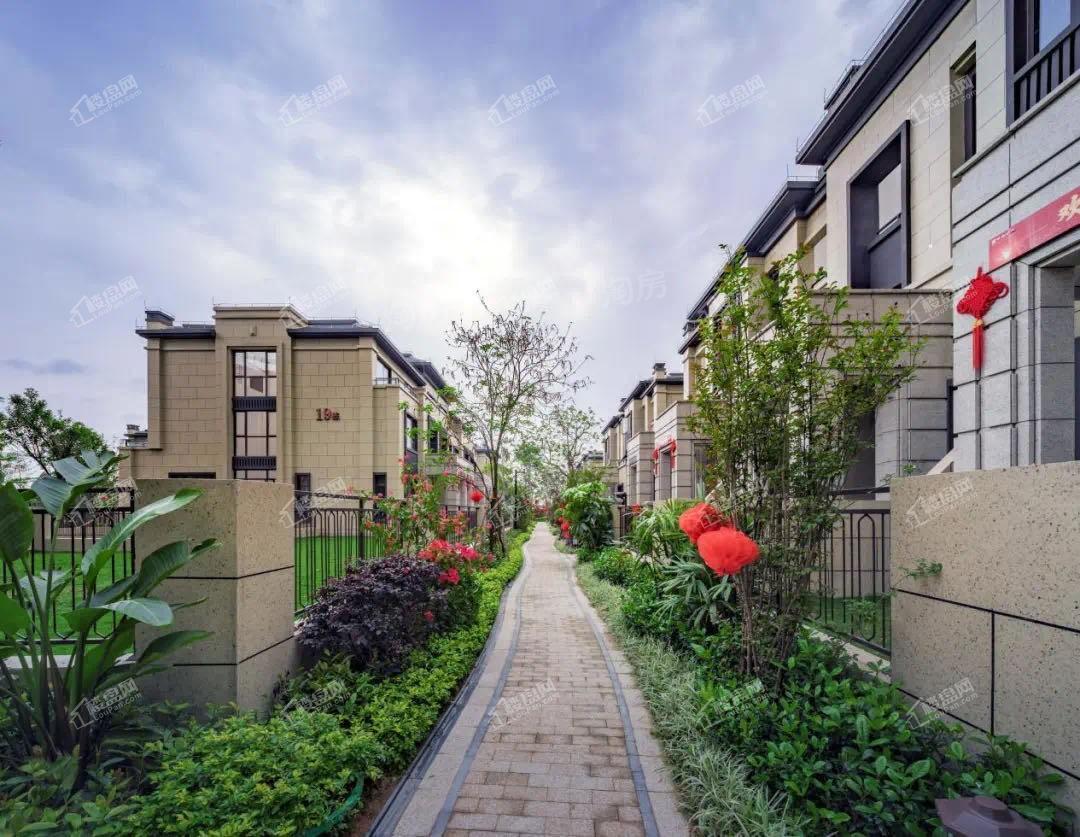 中海央墅实景图