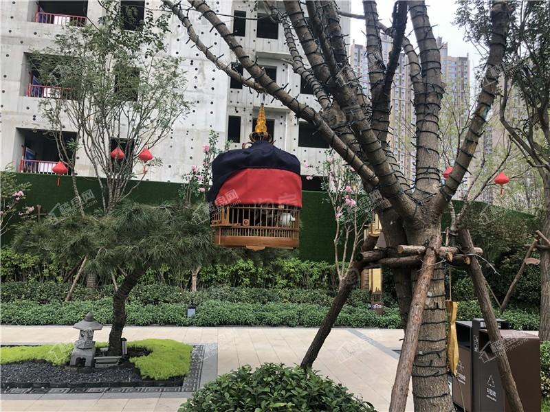 碧桂园玖玺臺实景图