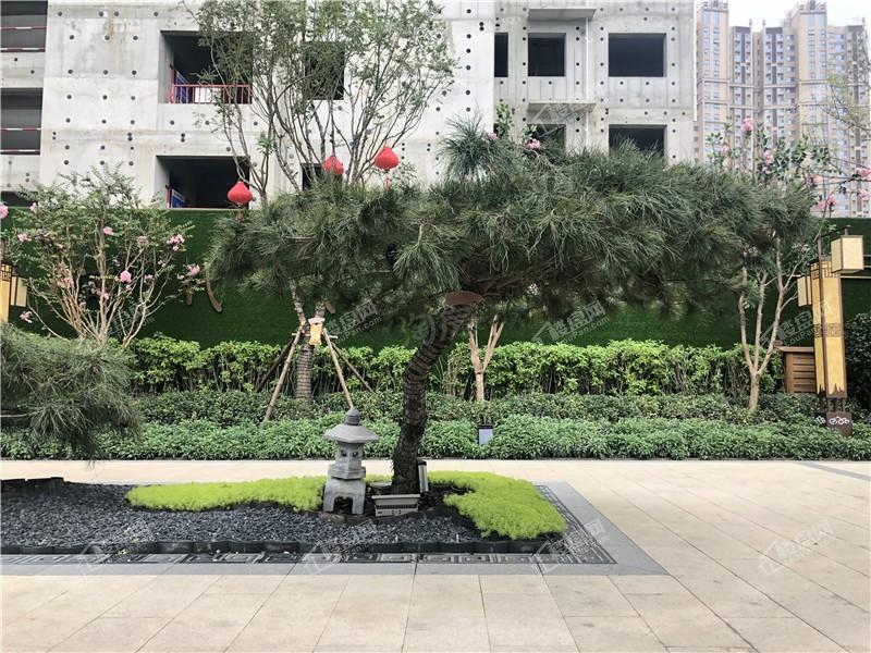 碧桂园玖玺臺实景图