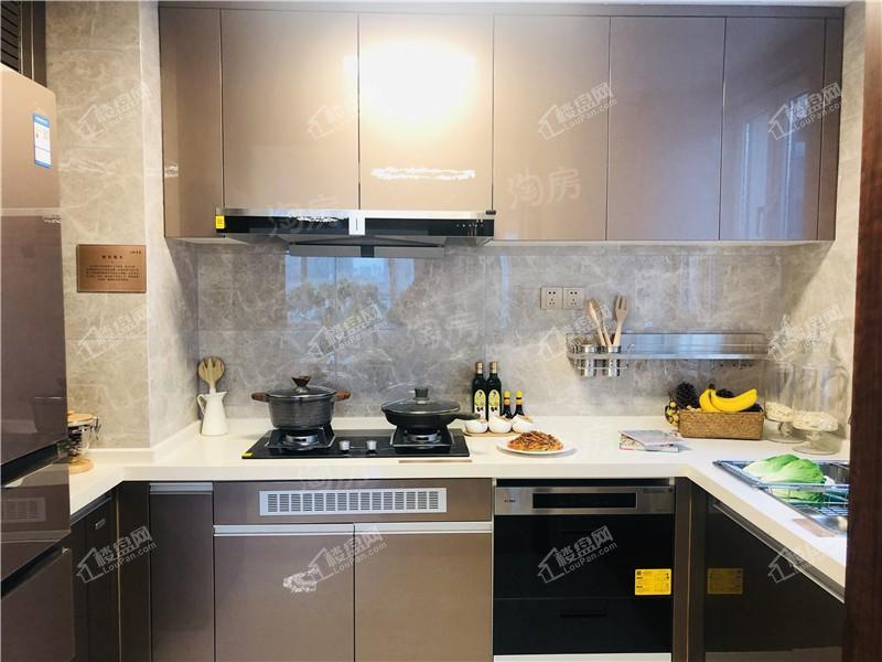 碧桂园玖玺臺样板间