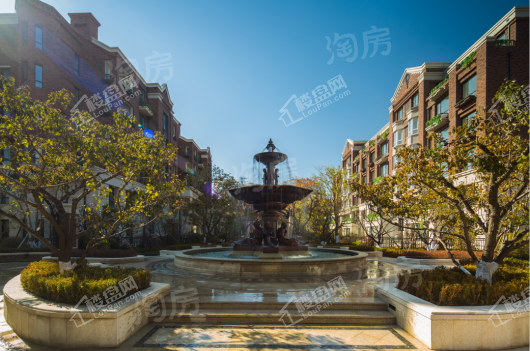 实景图