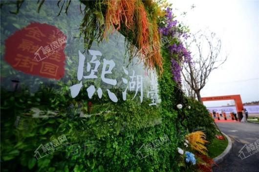 金融街碧桂园熙湖臺实景图