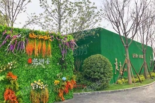 金融街碧桂园熙湖臺实景图