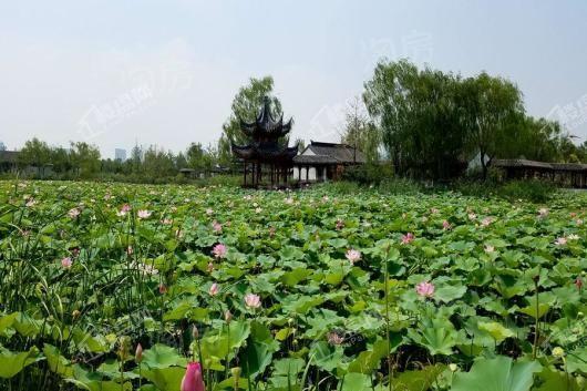 万科西华府配套图