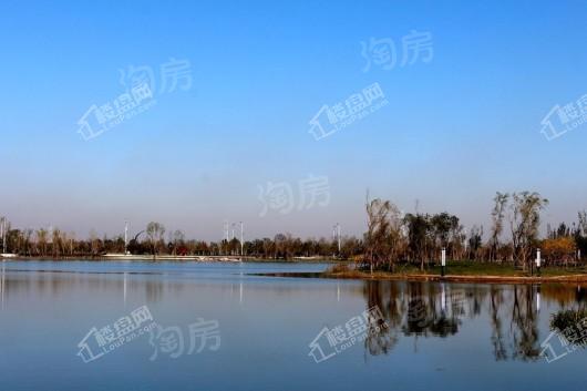 星河国际配套图