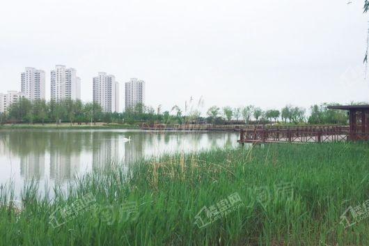 星河国际配套图