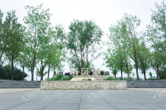 星河国际配套图