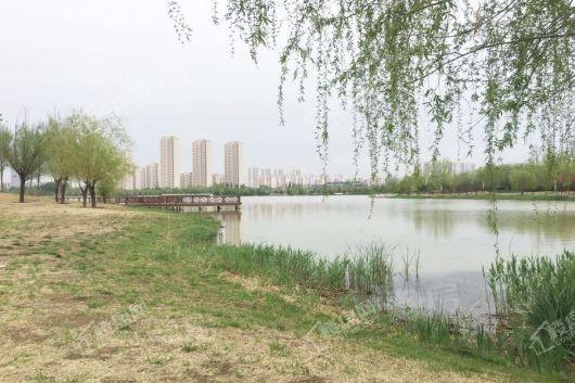 星河国际配套图