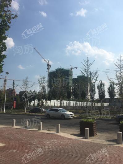 中骏雍景府实景图