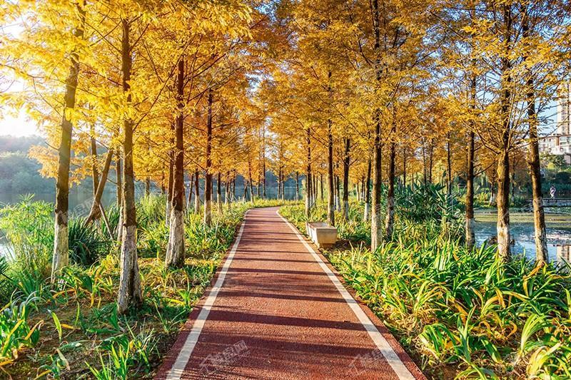 中铁阅山湖实景图