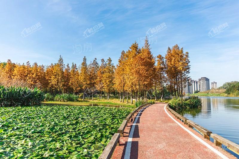 中铁阅山湖实景图