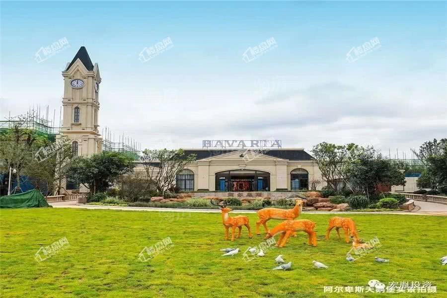 阿尔卑斯实景图