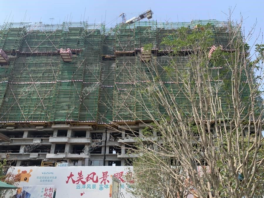 远洋风景实景图