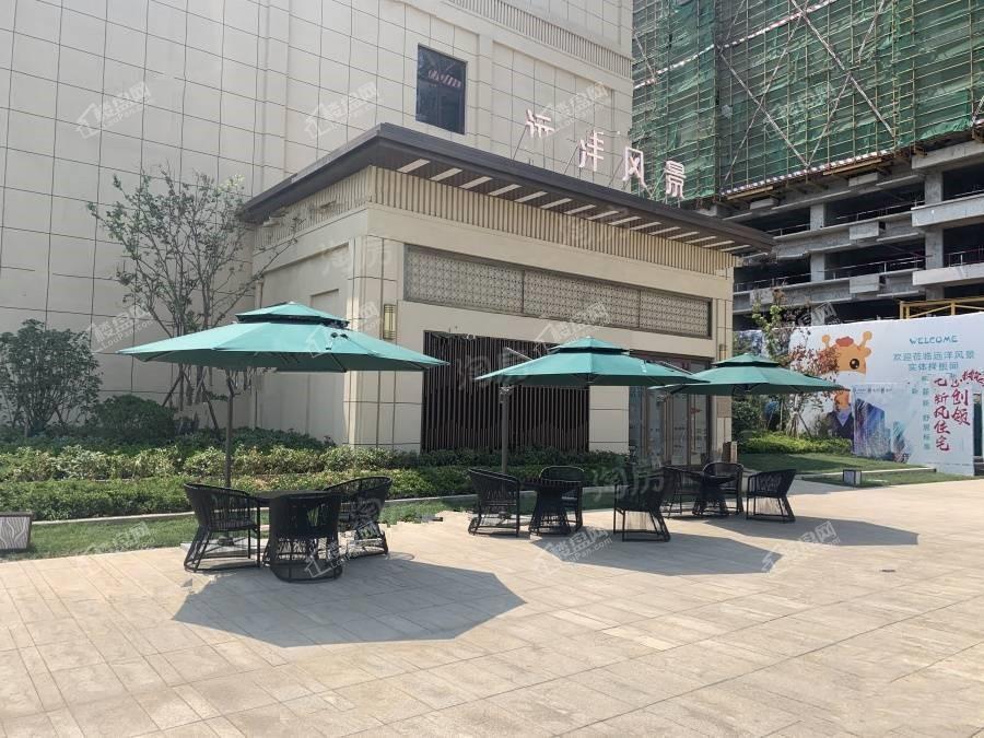 远洋风景实景图