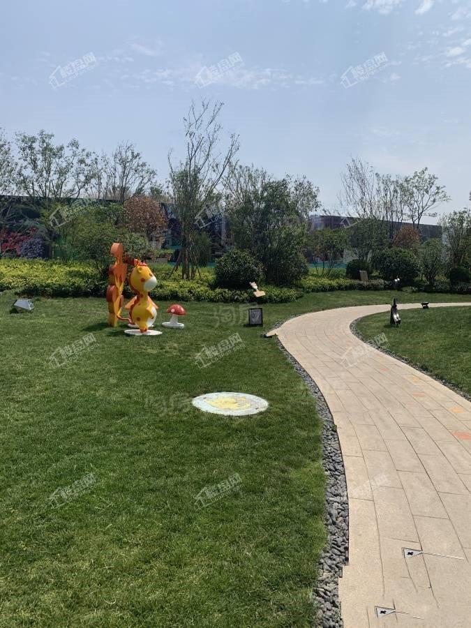 远洋风景实景图