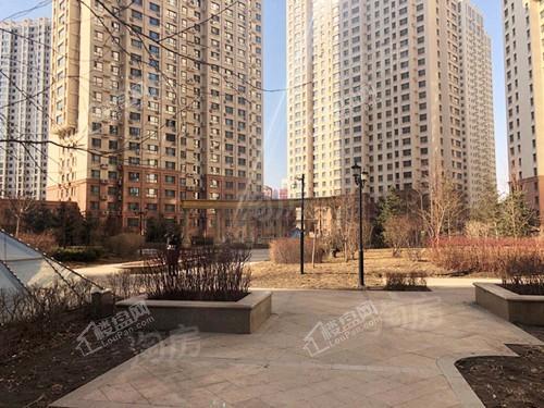 学府经典实景图