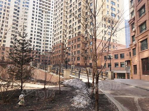 学府经典实景图