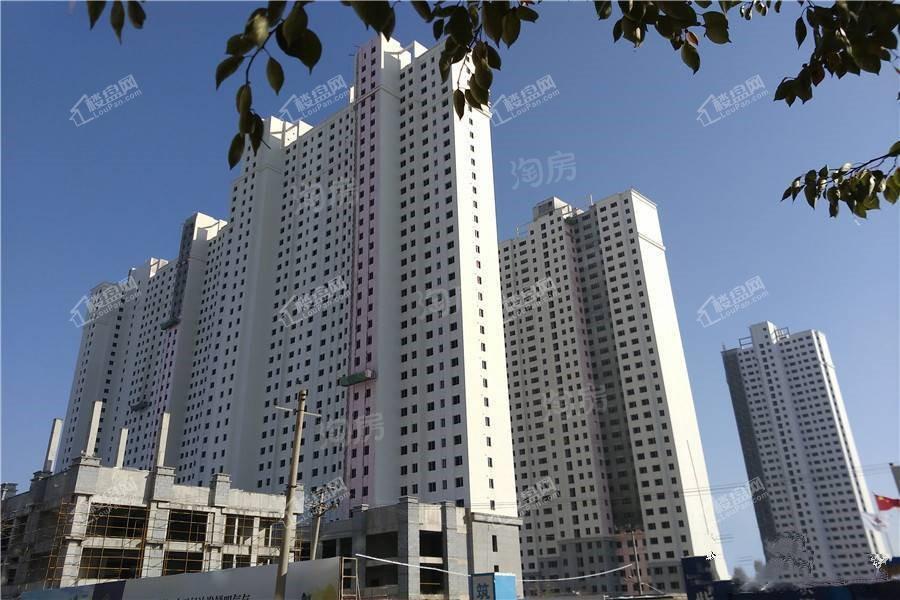 紫御蘭庭实景图
