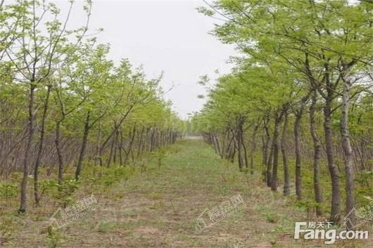 天津滨海吾悦广场配套图
