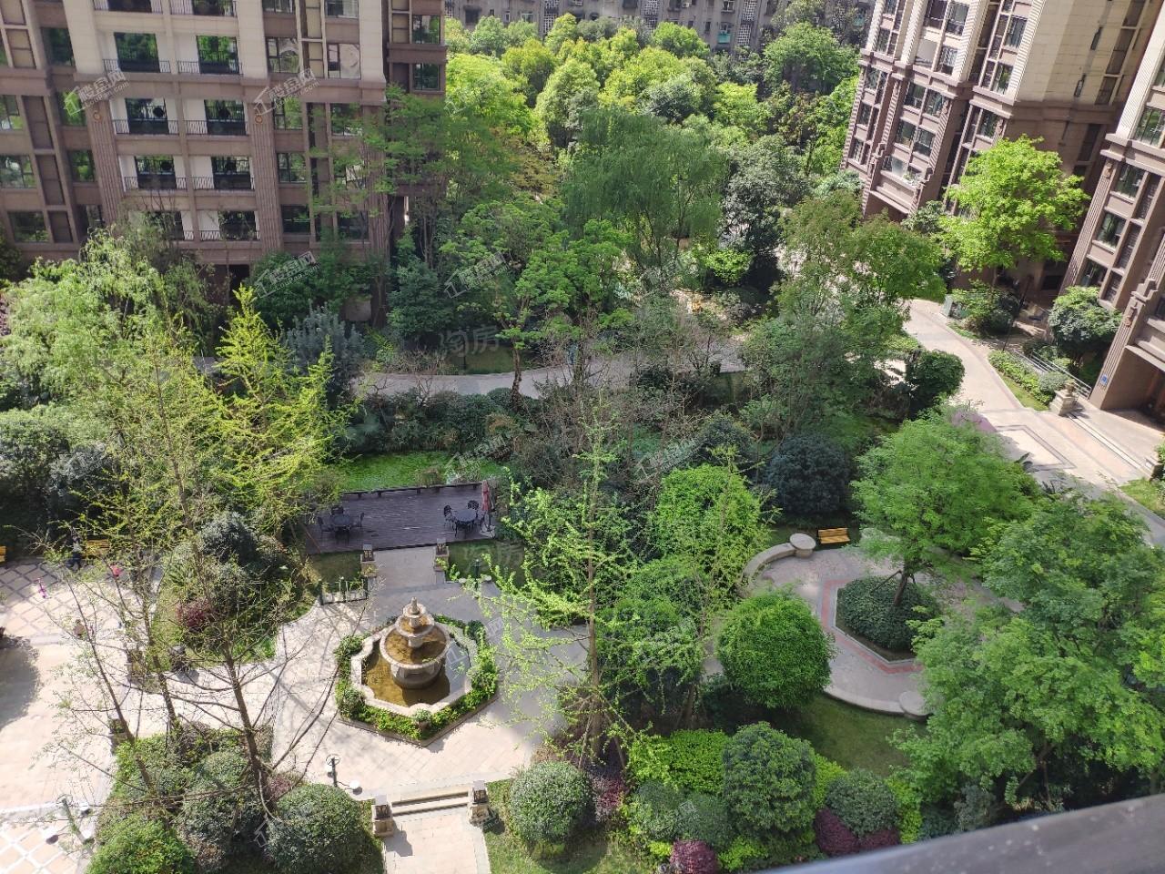 实景图
