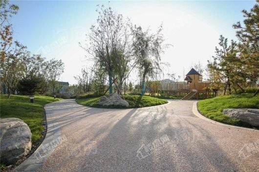 富力西柏水镇实景图