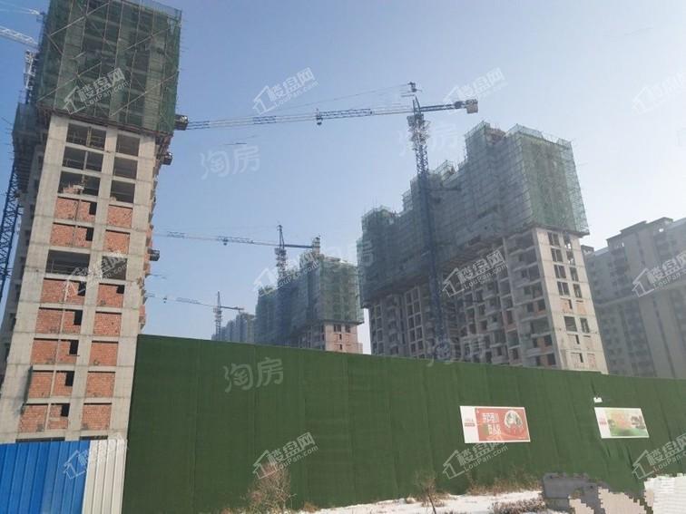 实景图