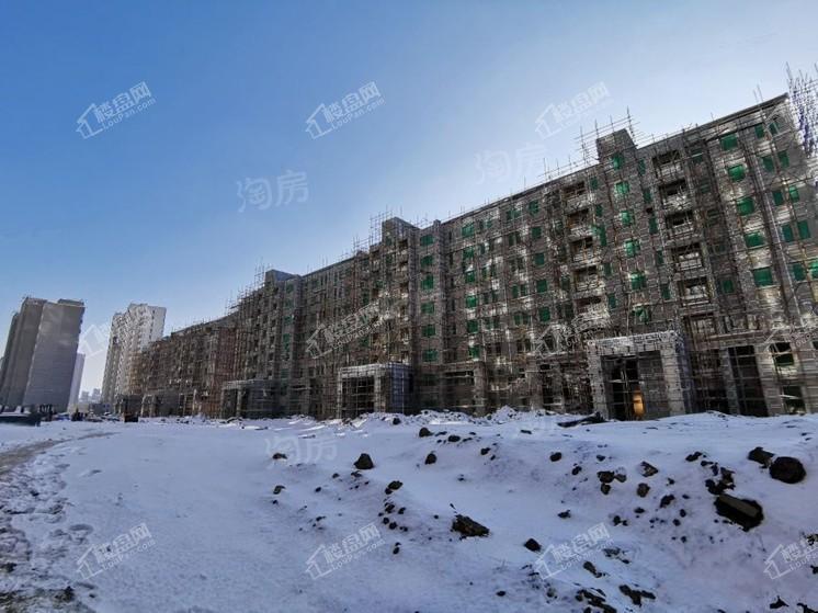 云湖府邸实景图