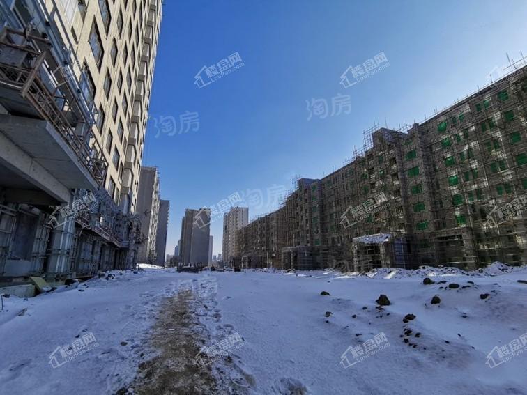 云湖府邸实景图
