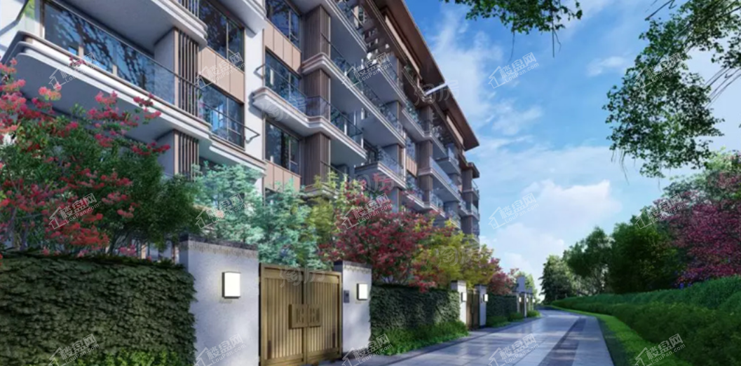 峨眉爱这山效果图