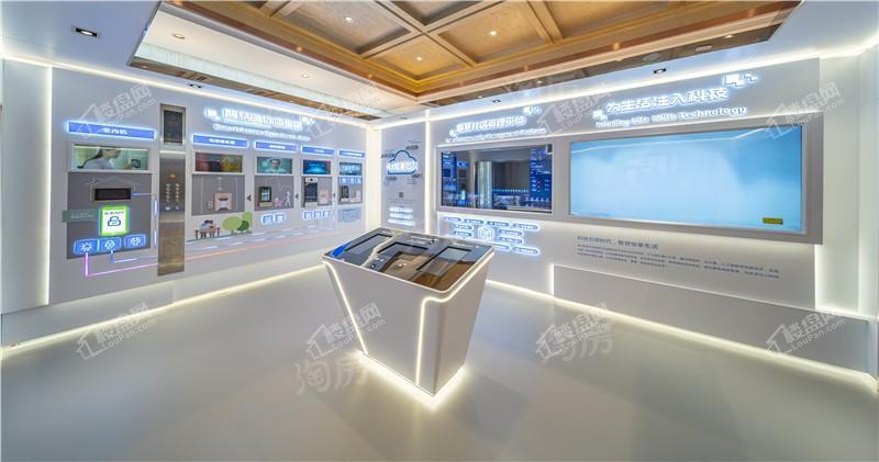 恒大森林海实景图