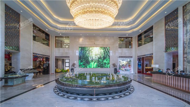 恒大森林海实景图