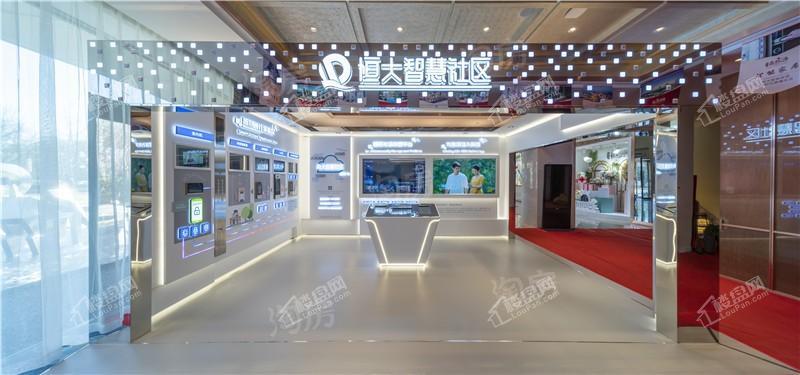 恒大森林海实景图