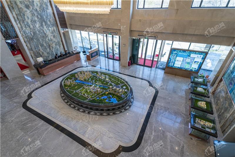 恒大森林海实景图